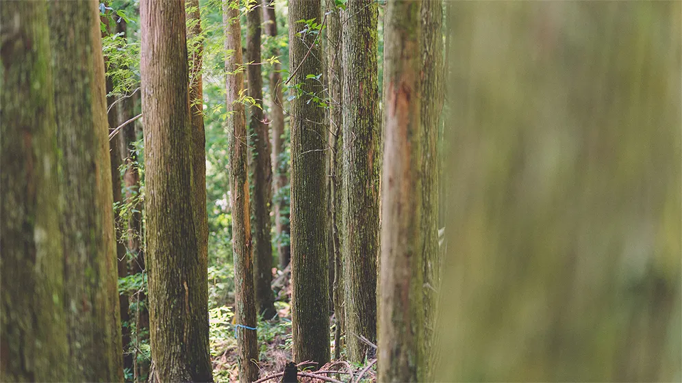 写真・動画撮影の事例11